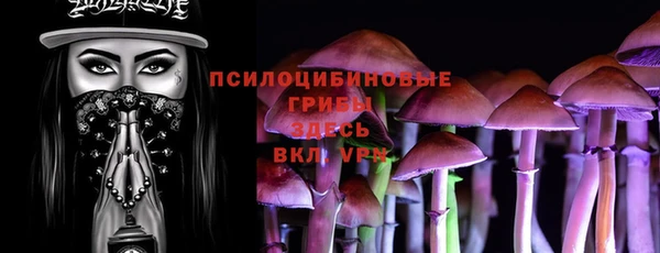 первитин Богородицк