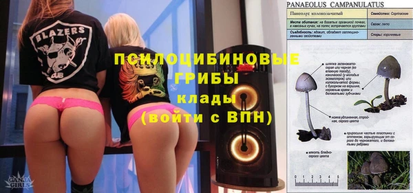 первитин Богородицк