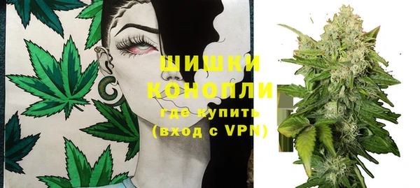 трава Богданович